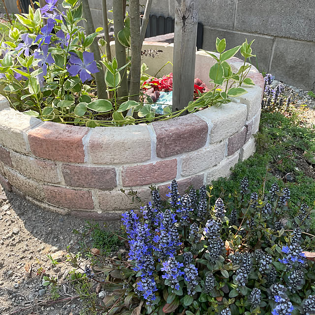 ammyさんの部屋