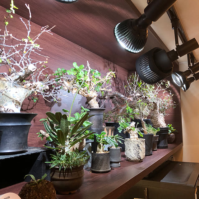nuruiさんの部屋