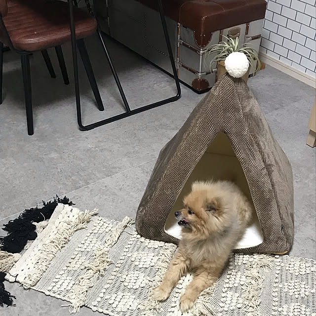 adgjmptwさんの実例写真