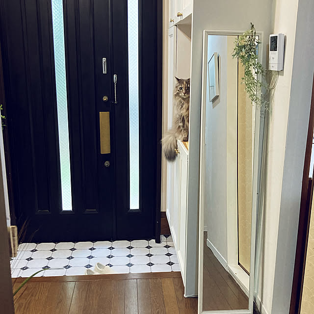 justyさんの実例写真