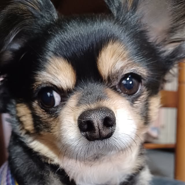 hiro.904さんの部屋