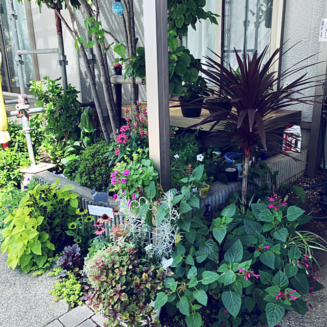 yukarin-gardenさんの実例写真