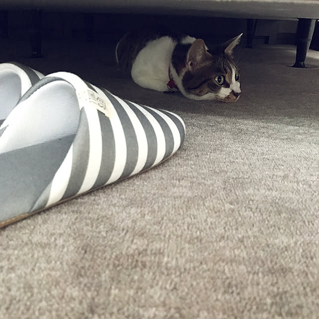 nsugi0710さんの実例写真