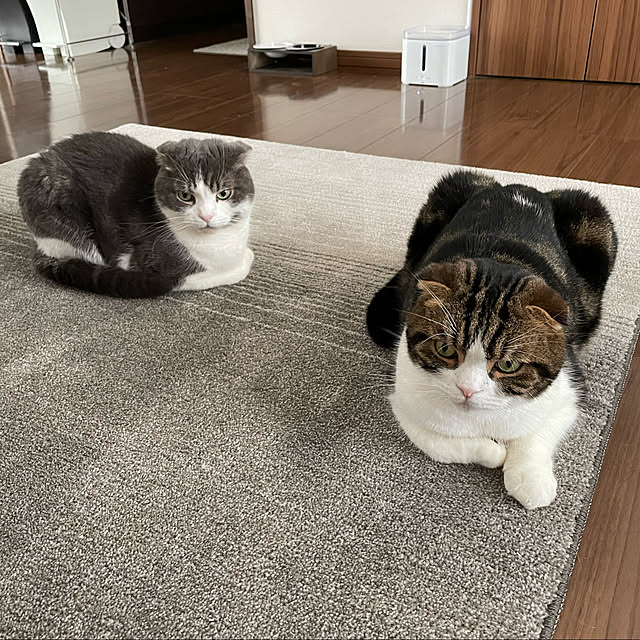 tansukeさんの実例写真