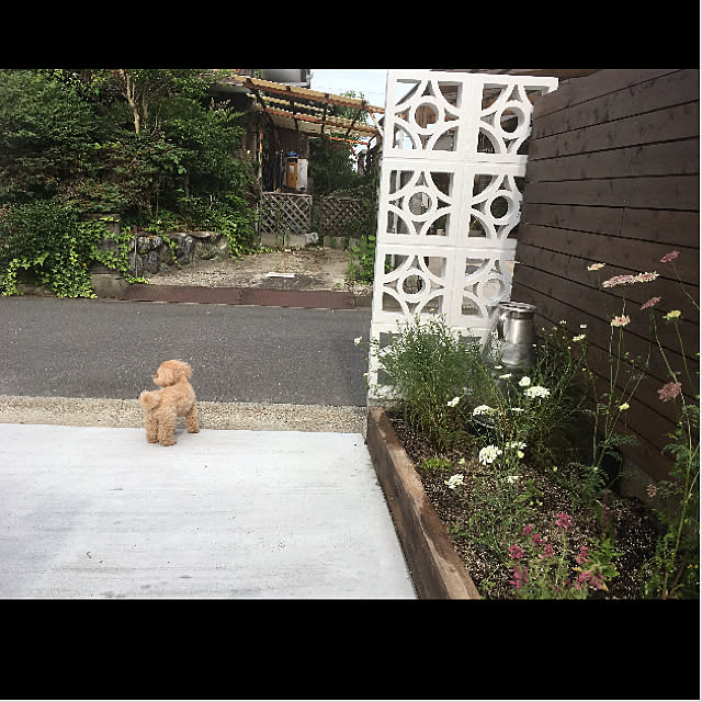 niikoさんの実例写真