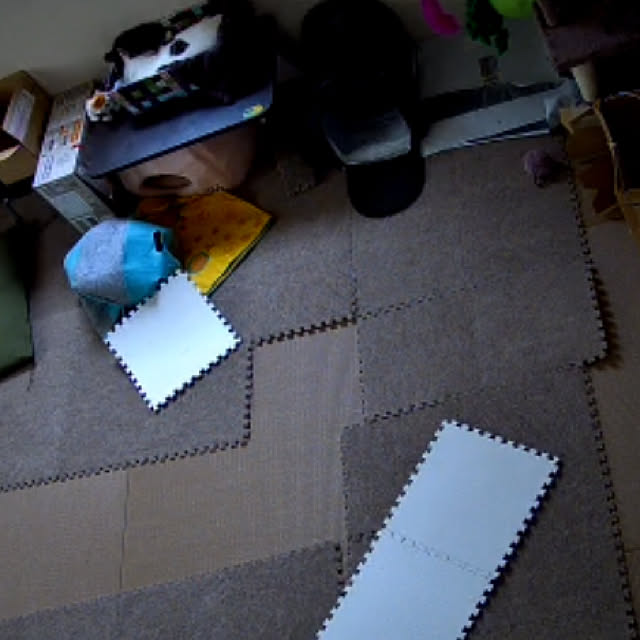 猫/くつろぎ空間/ねこと暮らす。/部屋全体のインテリア実例 - 2020-01-31 21:08:00