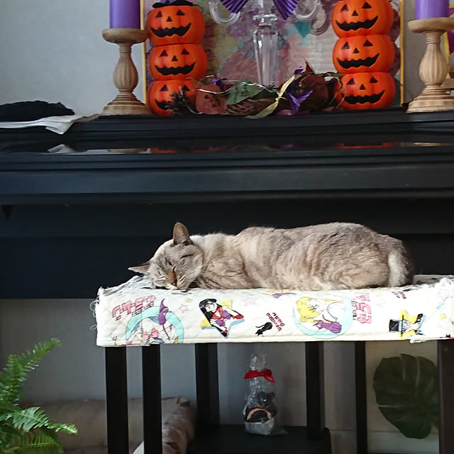 bonobono54さんの実例写真