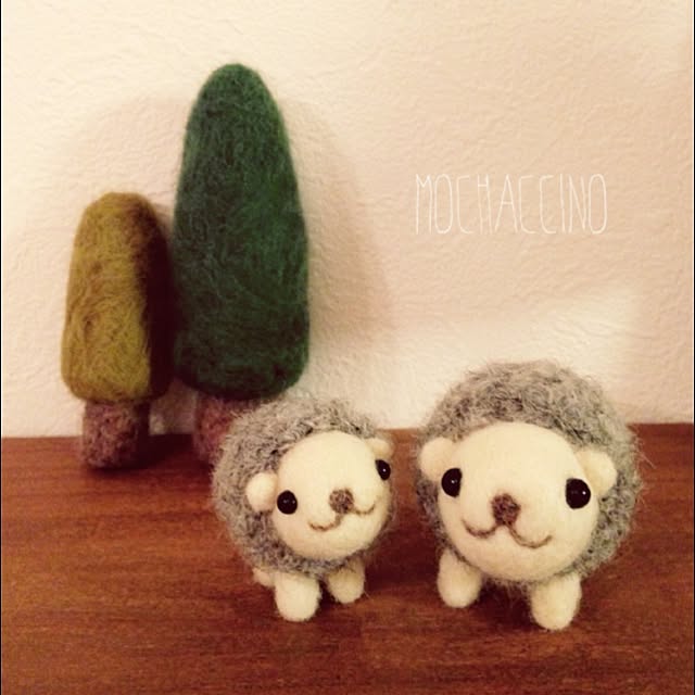 mochaccinoさんの実例写真