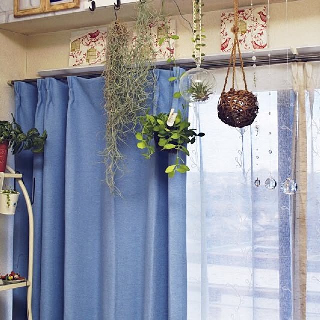 Sonokoさんの実例写真