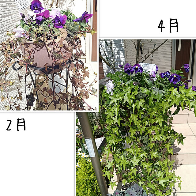 aquaさんの実例写真