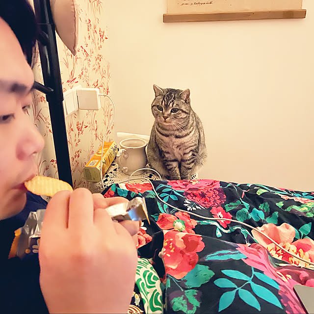 wendyさんの実例写真