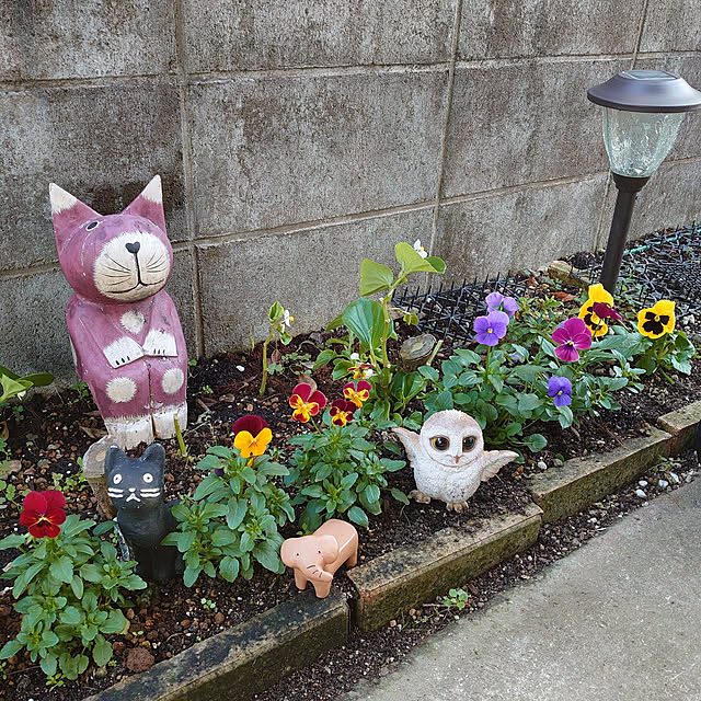 fukuさんの実例写真