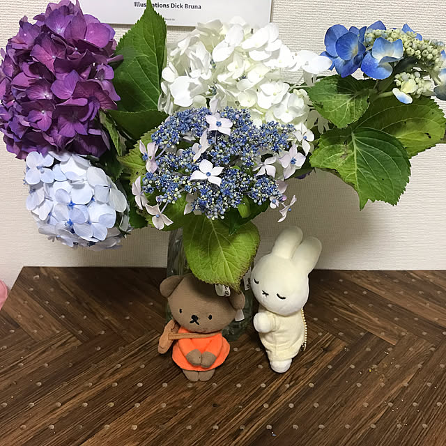 sakuramiffyさんの部屋