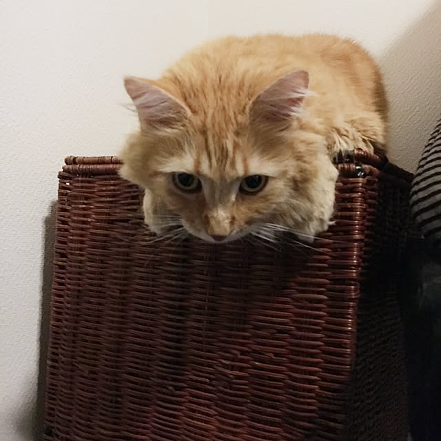 Hiroさんの実例写真