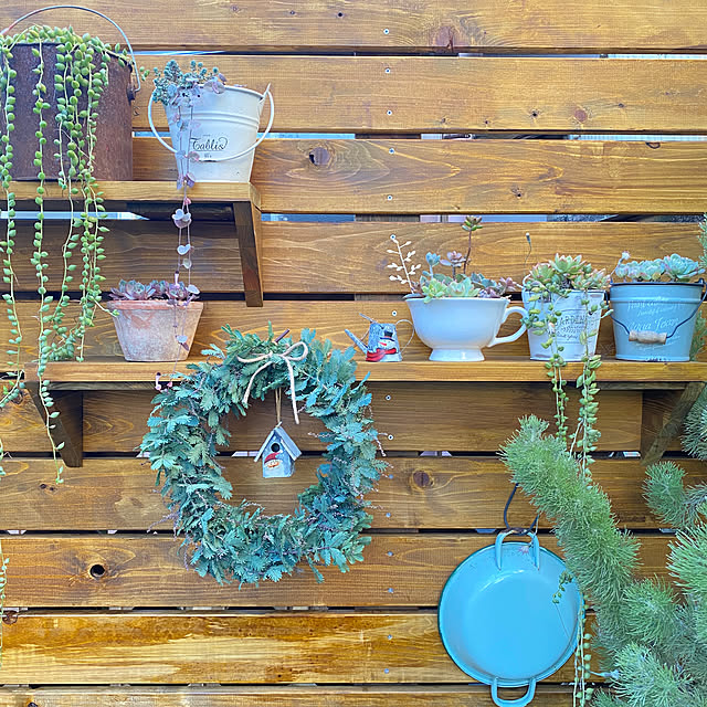 mintteaさんの実例写真