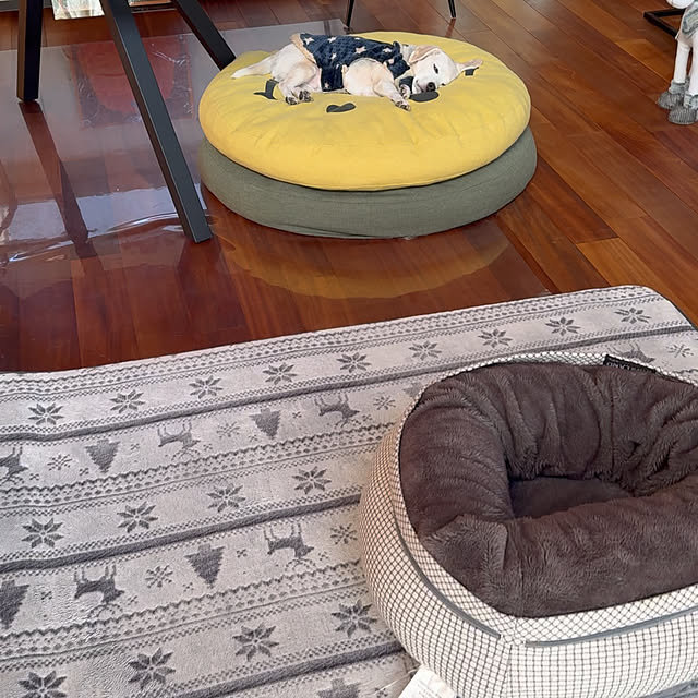 blackhomeさんの実例写真