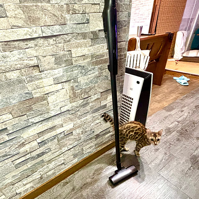 tututu0204さんの部屋