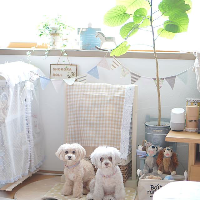 KNさんの実例写真