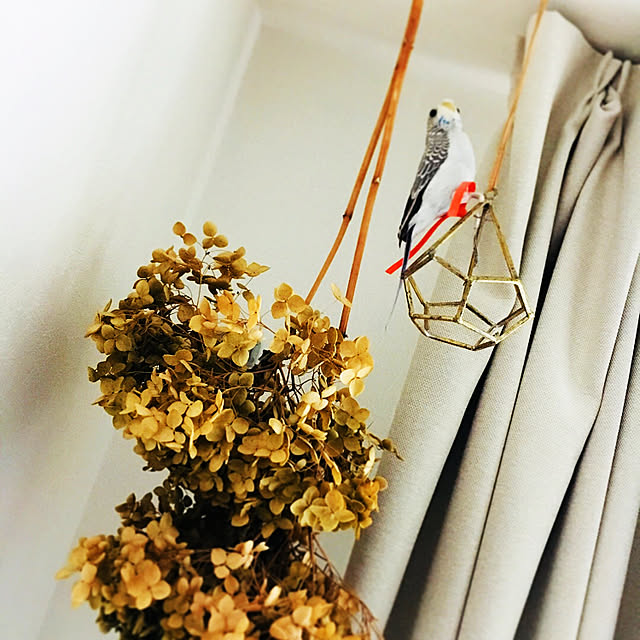 Yukaさんの実例写真