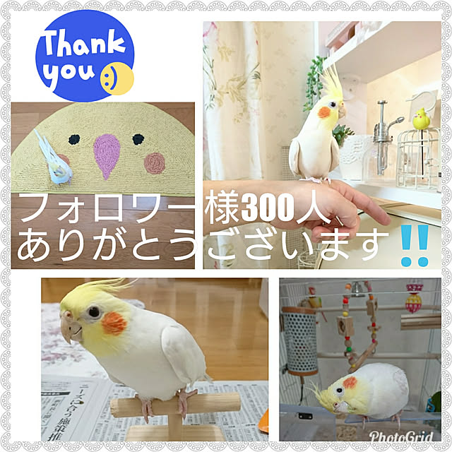 fleur-mamanさんの実例写真