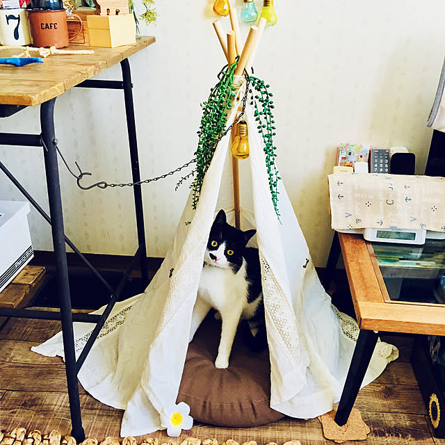 kaboさんの実例写真