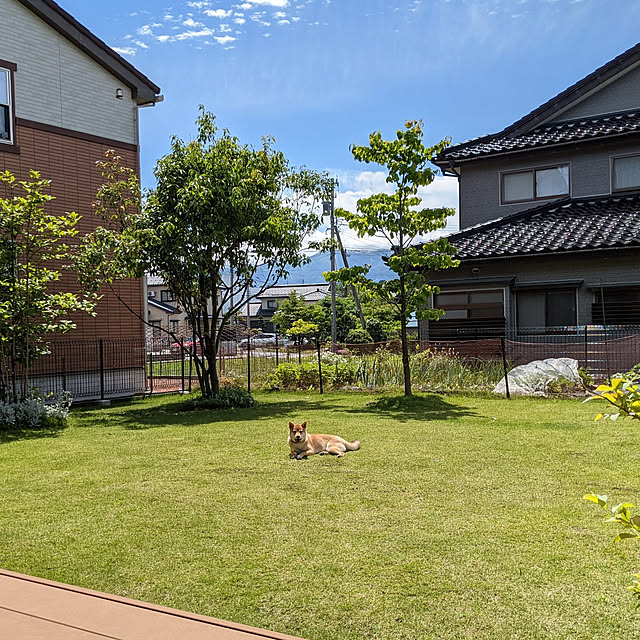 s_h_yさんの実例写真