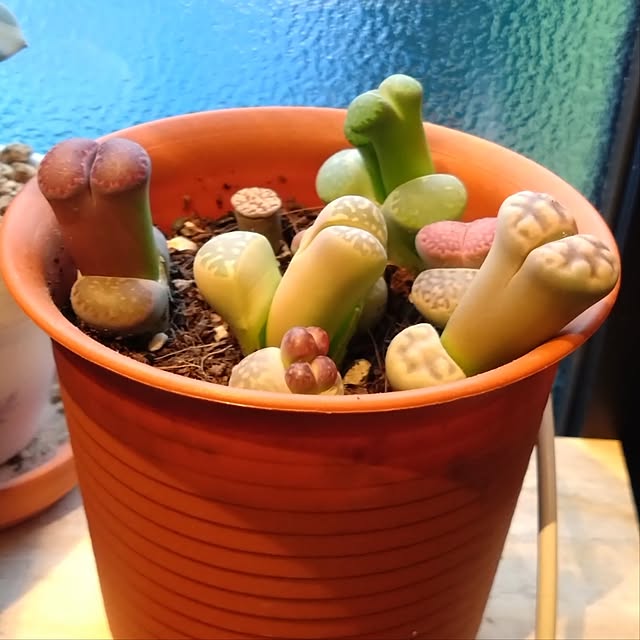 tomo5さんの部屋