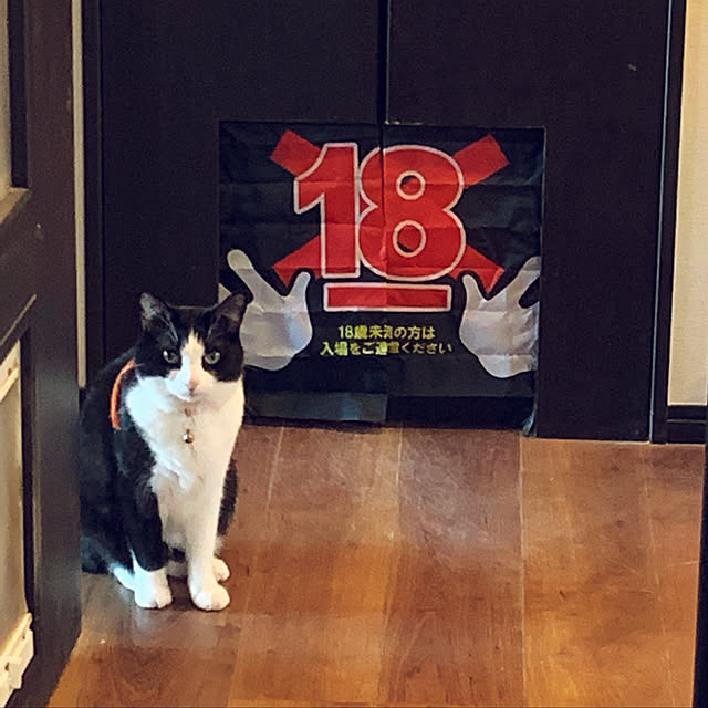 terrainさんの実例写真