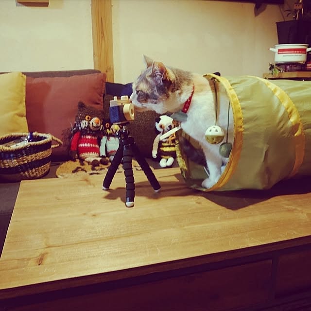 fukuさんの実例写真
