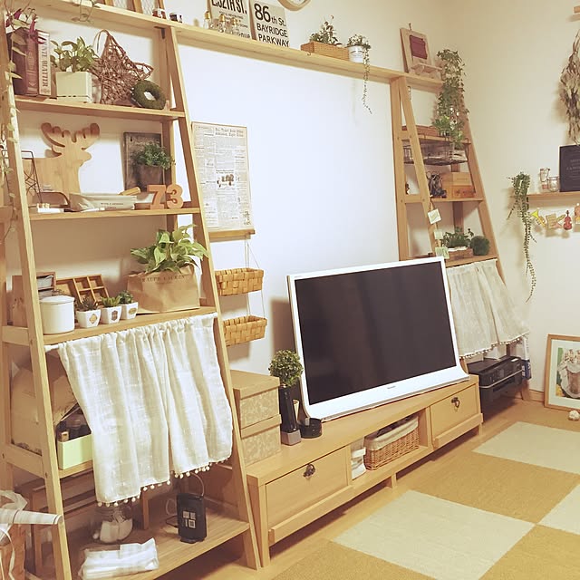 DailyRoomclip