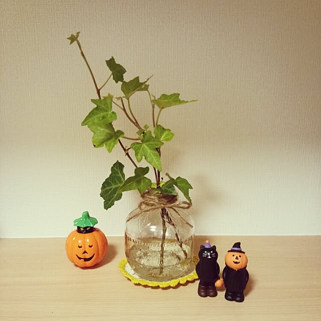 napiさんの実例写真