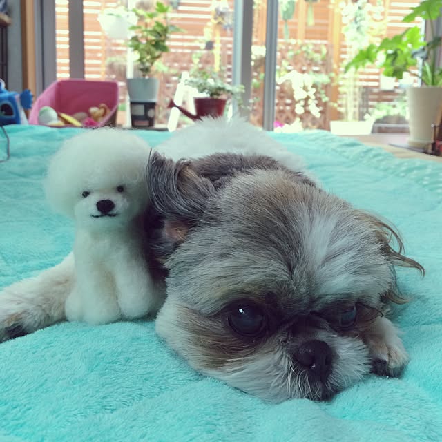 ANNAさんの実例写真