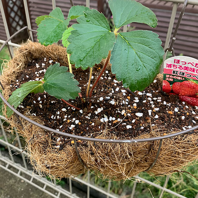 maa_ouchi___さんの実例写真