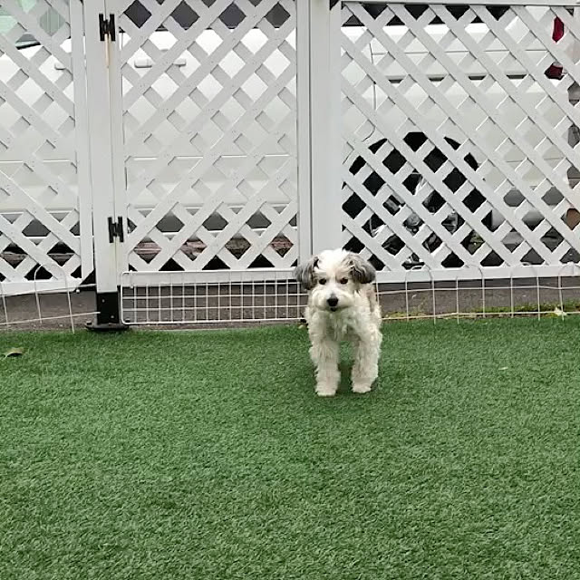 nfy117さんの実例写真