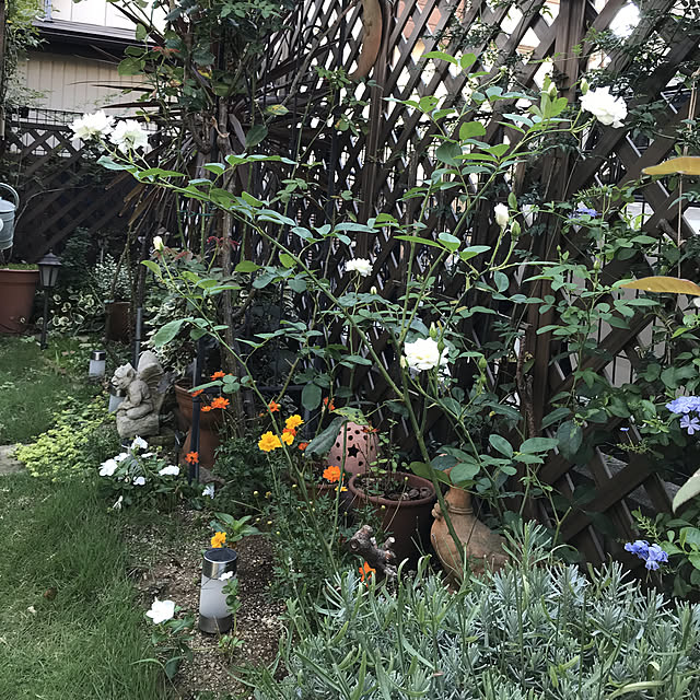 gin_mamaさんの実例写真
