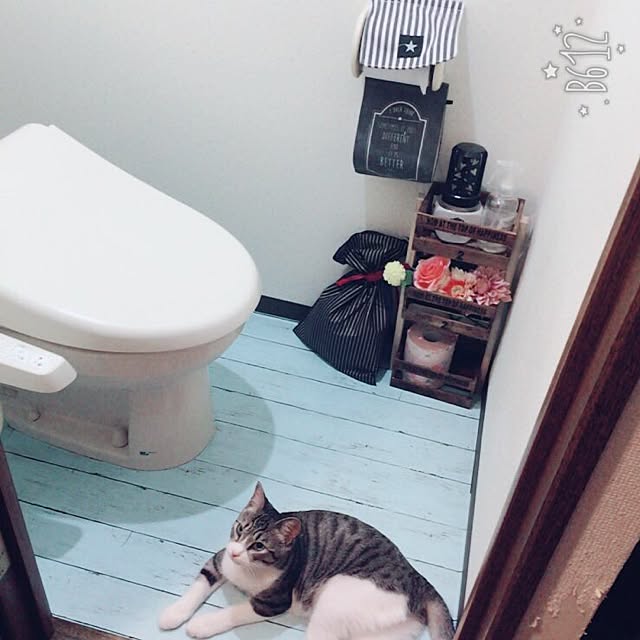 akoさんの実例写真