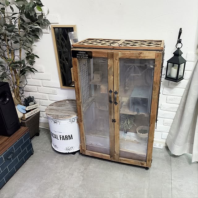棚/DIY/チンチラ（齧歯目）/チンチラと暮らす/チンチラ小屋DIY...などのインテリア実例 - 2025-05-15 21:27:39