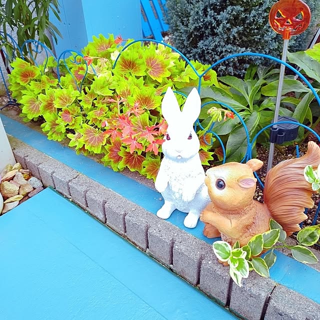 Miyumamaさんの実例写真