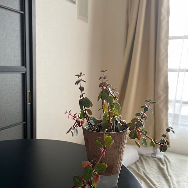 sunaさんの部屋