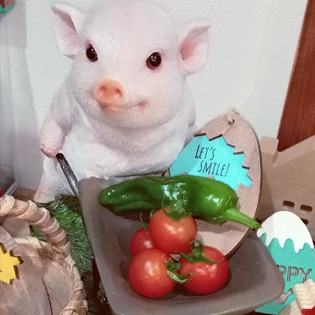 mocomocoさんの実例写真