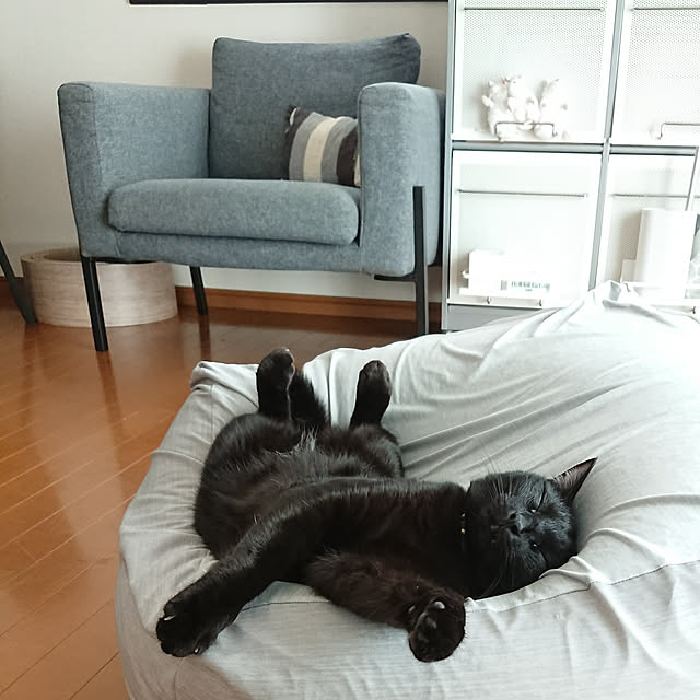 maikyさんの実例写真