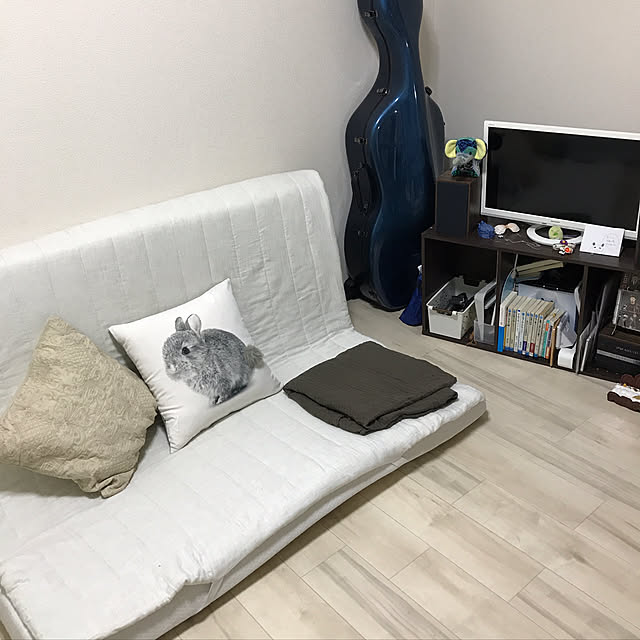 ayanebulaさんの実例写真