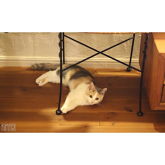 ayurabbyさんの実例写真