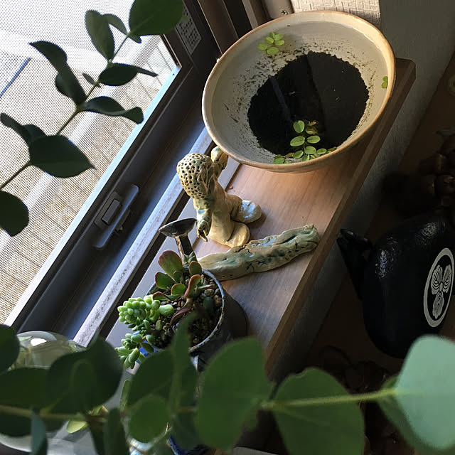 zoさんの実例写真