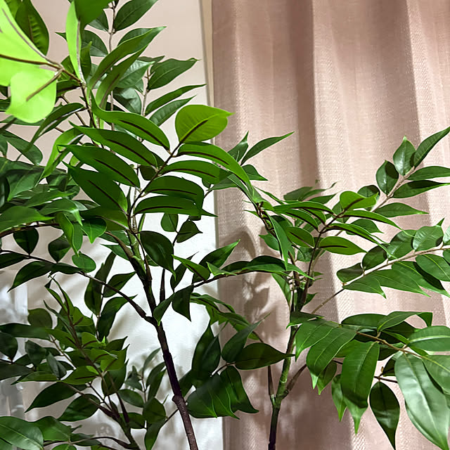rikaさんの部屋