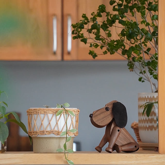 ss.my_homeさんの部屋