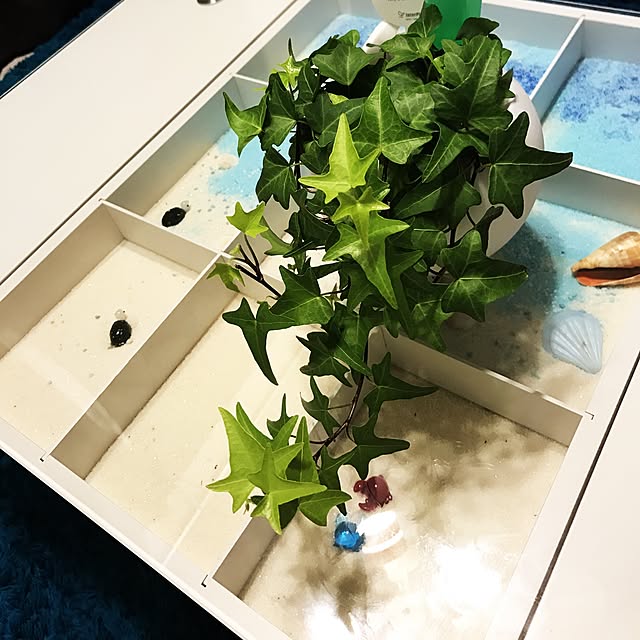 机/100均/観葉植物/ホワイトインテリアのインテリア実例 - 2017-02-12 23:56:22