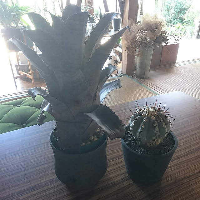 takenさんの実例写真