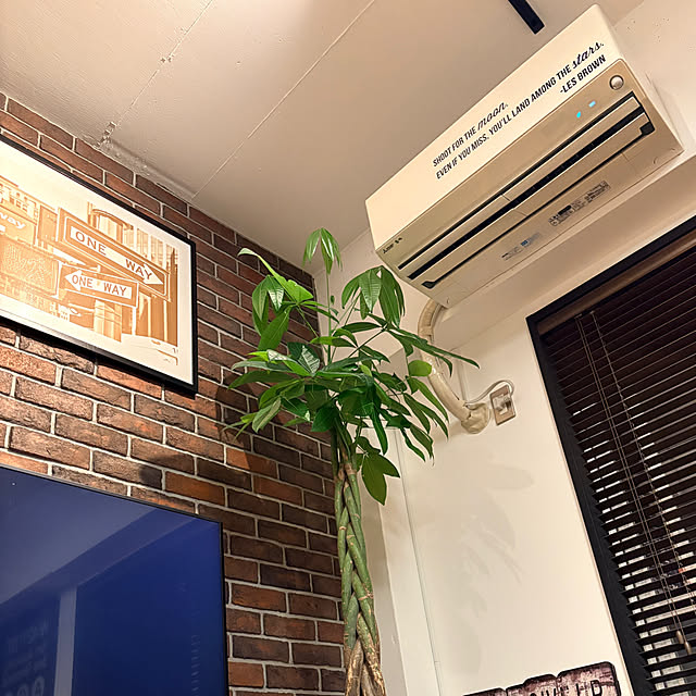 tamさんの実例写真