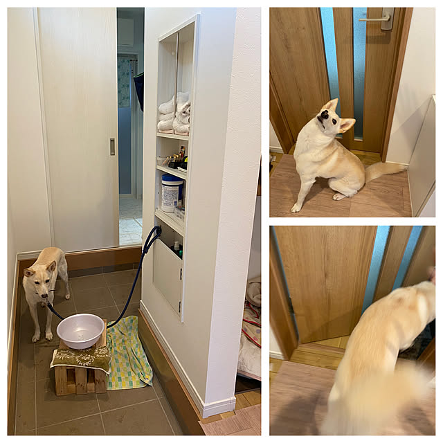 tanboさんの実例写真